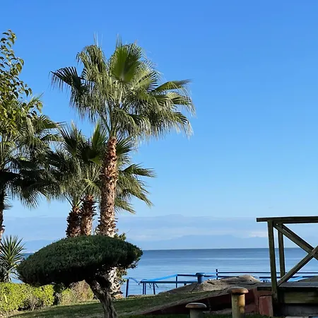 Hotel Amsterdam Economic