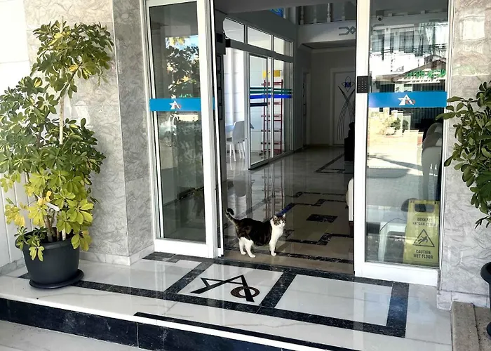 Amsterdam Economic Otel *